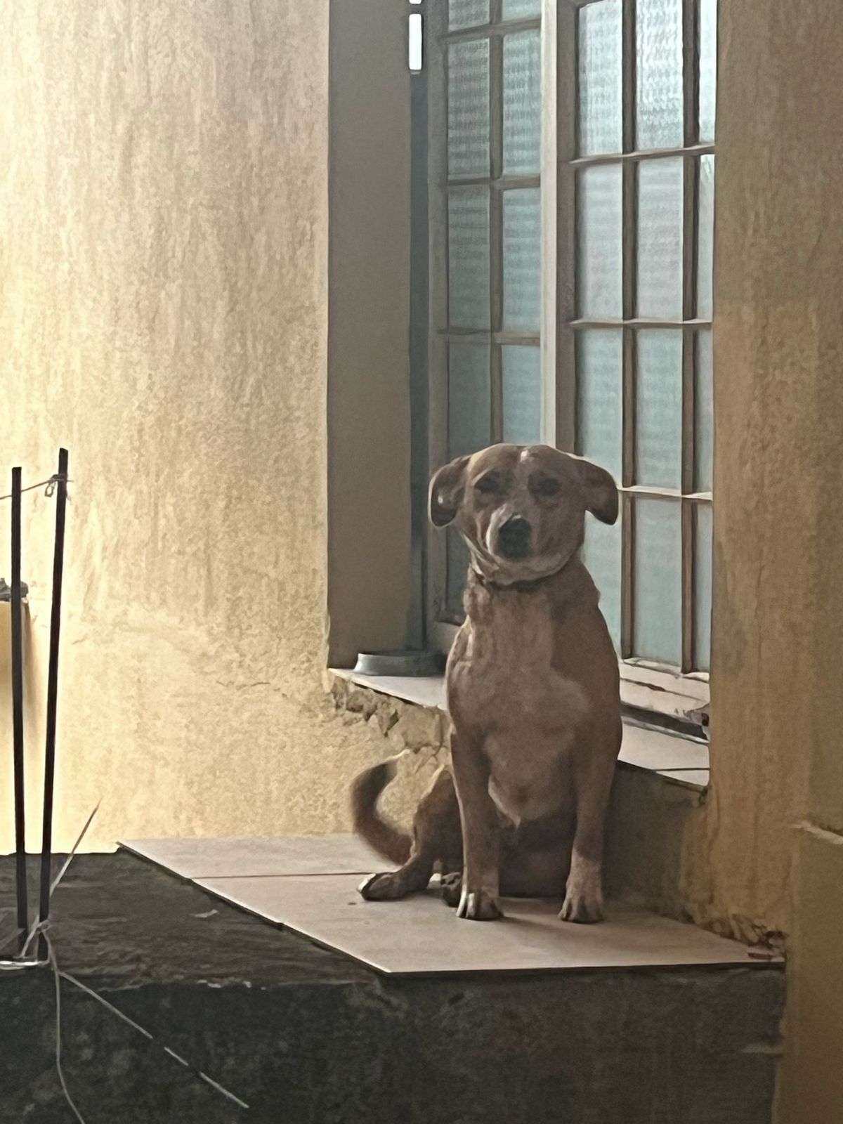 Hotelzinho para o Marlboro e Reginaldo